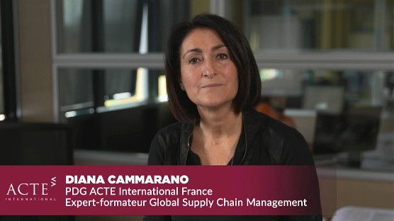 Diana CAMMARANO - Expert en transport, logistique et distribution internationale